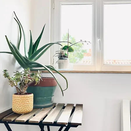 Apartament Cosy En Plein Centre La Rochelle (Charente-Maritime)